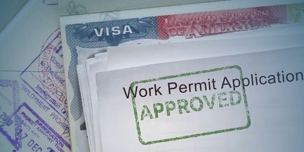 Everything you should know about temporary work visas in the USA