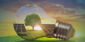 Conceptual image of a light bulb with a tree and solar panels, illustrating innovation in renewable energy technologies.