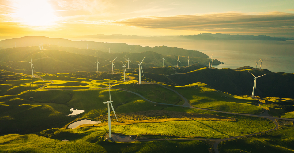 Renewable Energy Landscape