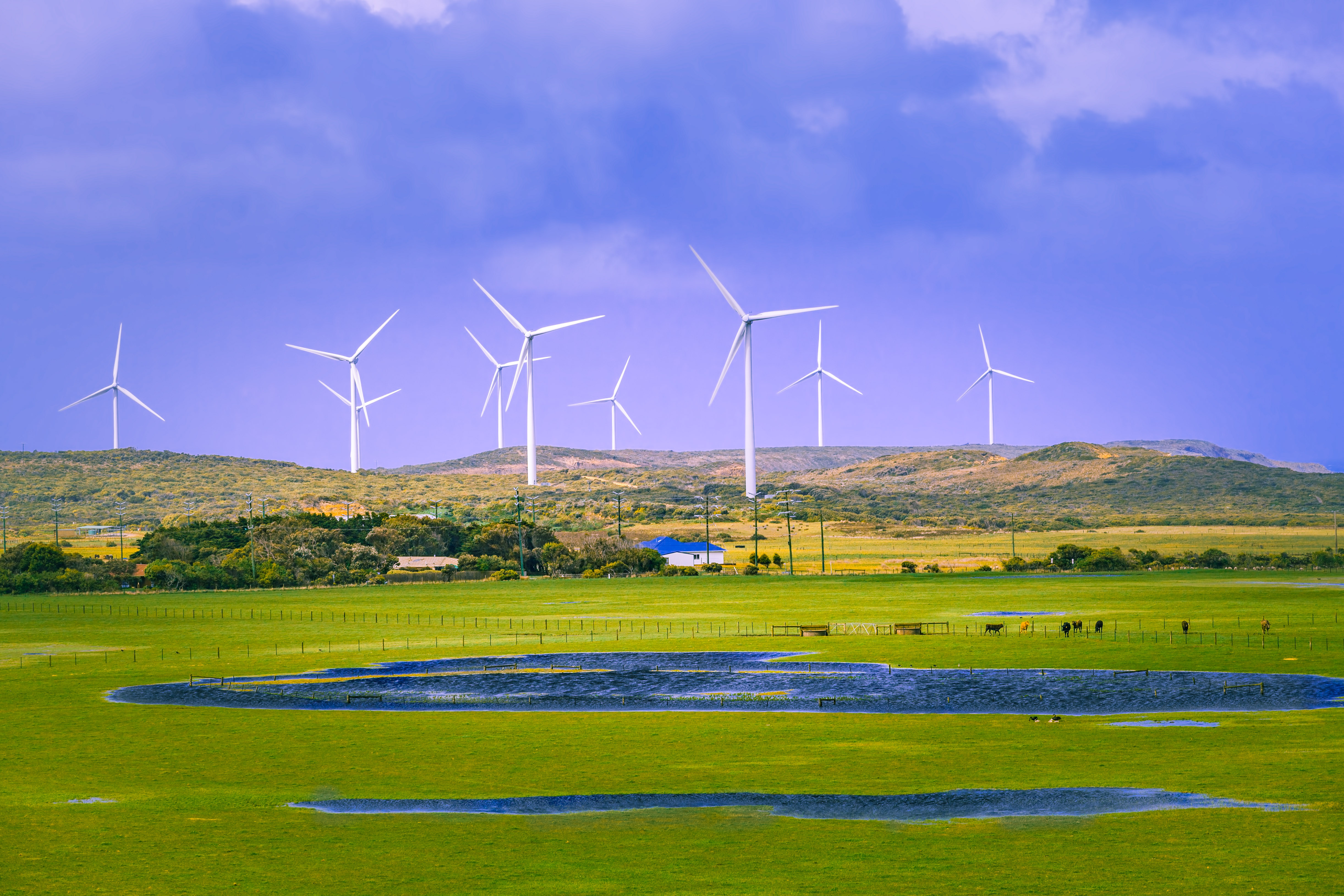 Rural area in australia with pastures and wind turbines
