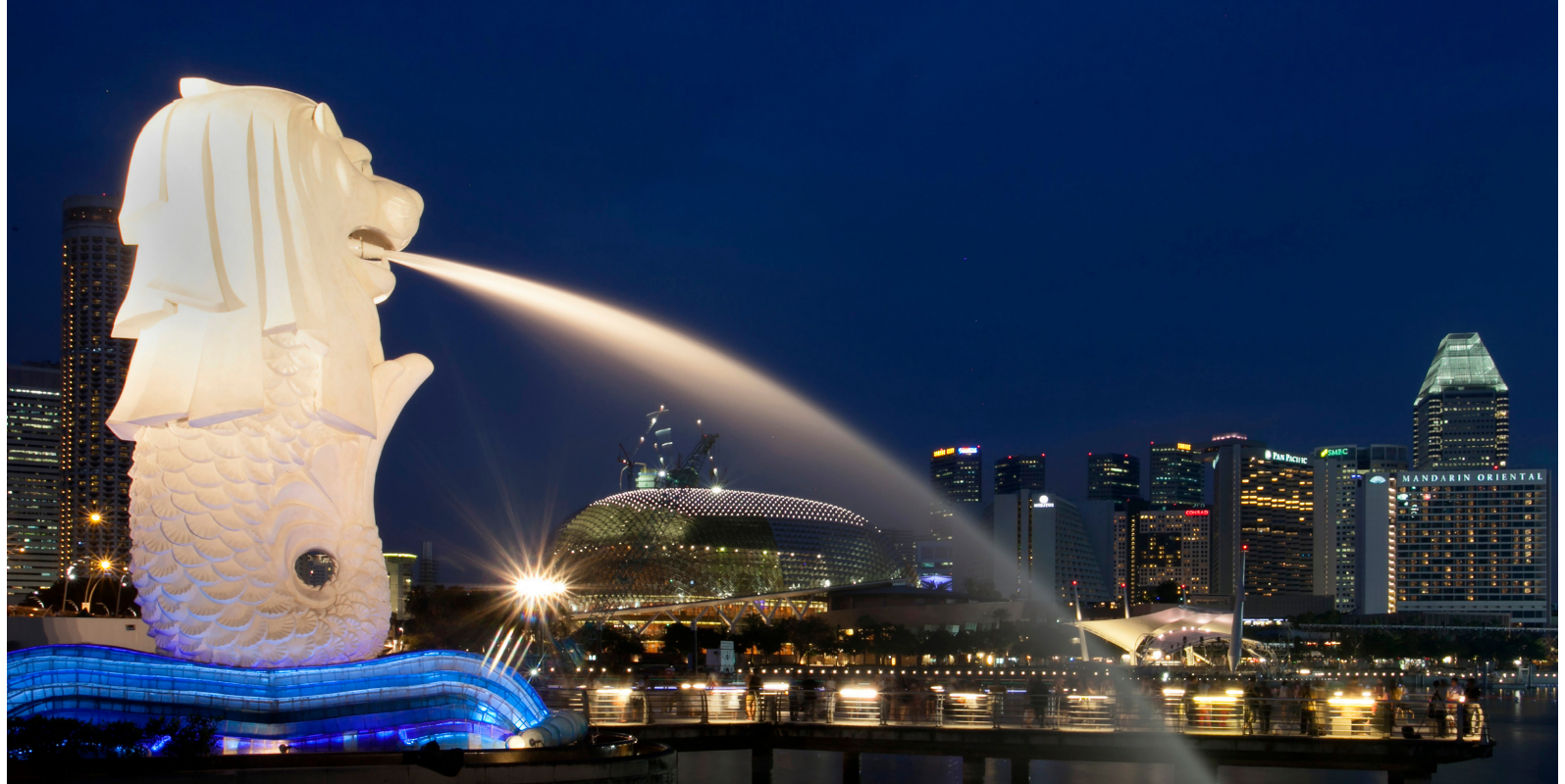 Wide angle shot of Singapore's Merlion against a background of Singapore's skyline at night