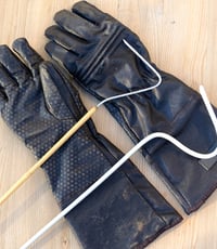 safety-wildlife-snake-gloves